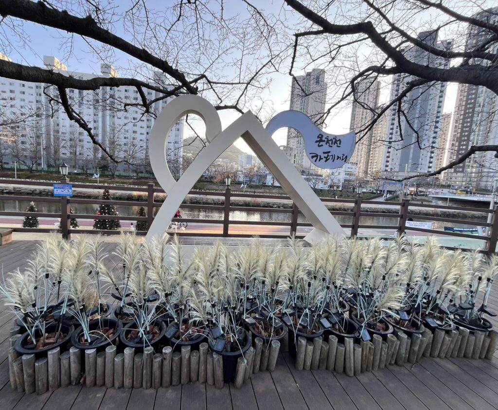 オンチョンチョンカフェ通りの写真